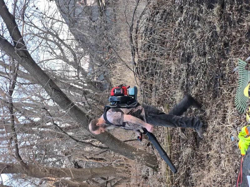 Crew member cutting branches for yard waste removal